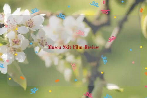 Musou Skit Film Review